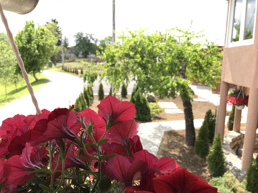 Villa Rubčić Rakovica Esterno foto